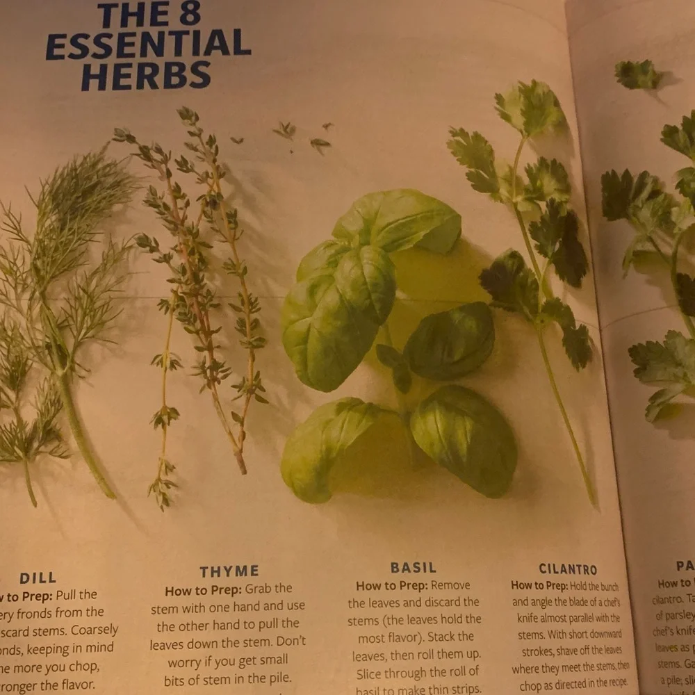 Taste of Home The Best of Summer Magazine Summer 2025 Recipes Grilled Classics